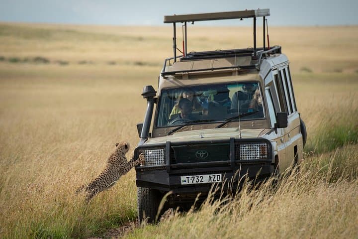 3-Day Serengeti and Ngorongoro Camping Safari: Private Guided Wildlife Experience photo 3