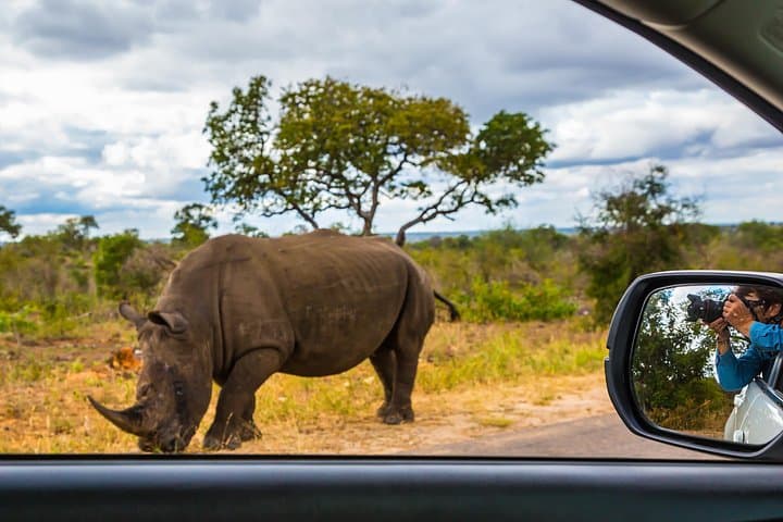 3-Day Serengeti and Ngorongoro Camping Safari: Private Guided Wildlife Experience photo 1