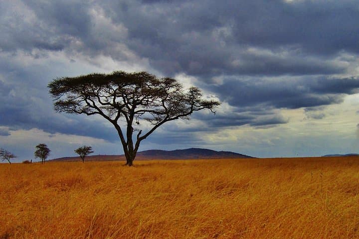 5-Day Tsavo East, Tsavo West & Amboseli Safari from Mombasa photo 4