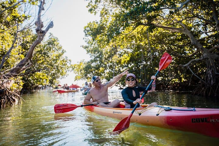 Schooner, Kayak & Snorkel: Half-Day Sail to Key West National Wildlife Refuge photo 1