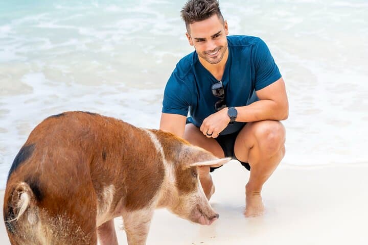Rose Island Day Trip — Swimming Pigs, Snorkel & Sandy Toes Beach photo 6