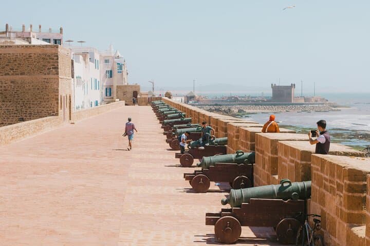 Essaouira Day Trip from Marrakech: Coastal Forts, Argan Co-ops & Medina Strolls