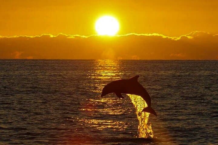 Private Sunset Cruise Destin & Fort Walton Beach — Emerald Coast Pontoon Charter photo 5