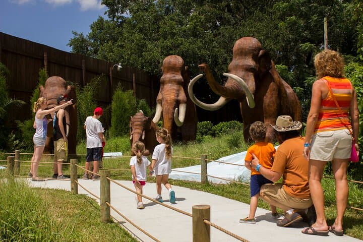 Dinosaur World Plant City: Outdoor Family Dino Park Near Tampa photo 3