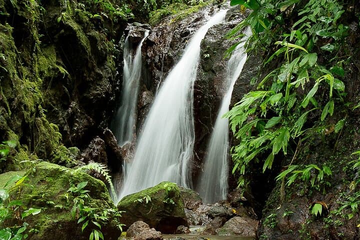 ATV to Rainmaker: Full-Day Waterfalls, Canopy Zipline & Butterfly Garden in Costa Rica photo 6
