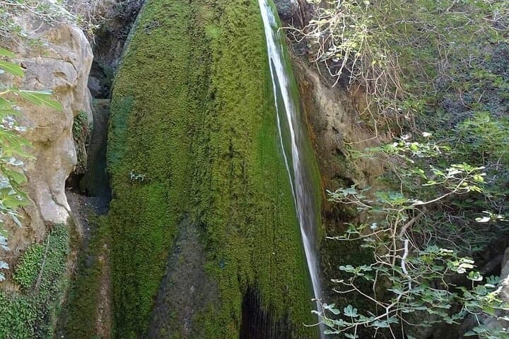 Richtis Gorge Private Hike: Waterfall, Ancient Olives & Selinari Monastery photo 4