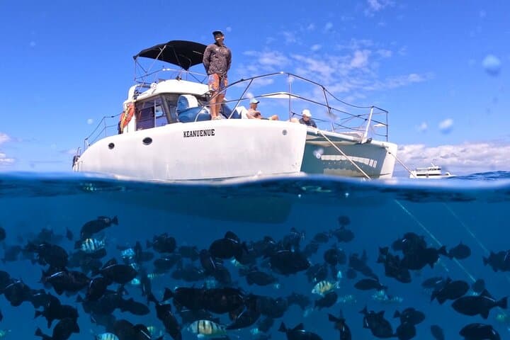 Turtle Canyon Semi-Private Snorkel from Waikiki — Small-Group Catamaran Tour