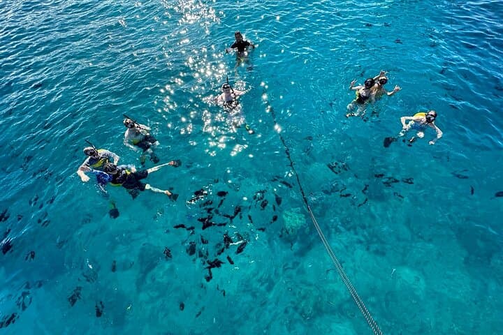Turtle Canyon Semi-Private Snorkel from Waikiki — Small-Group Catamaran Tour photo 3