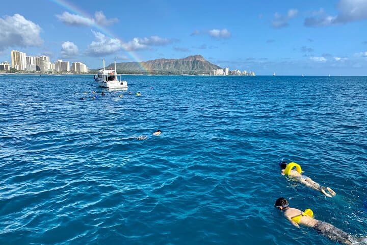 Turtle Canyon Semi-Private Snorkel from Waikiki — Small-Group Catamaran Tour photo 6