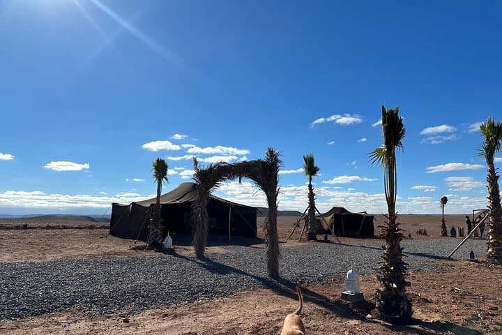 Agafay Desert Sunset Dinner with Camel or Quad Ride from Marrakech photo 3