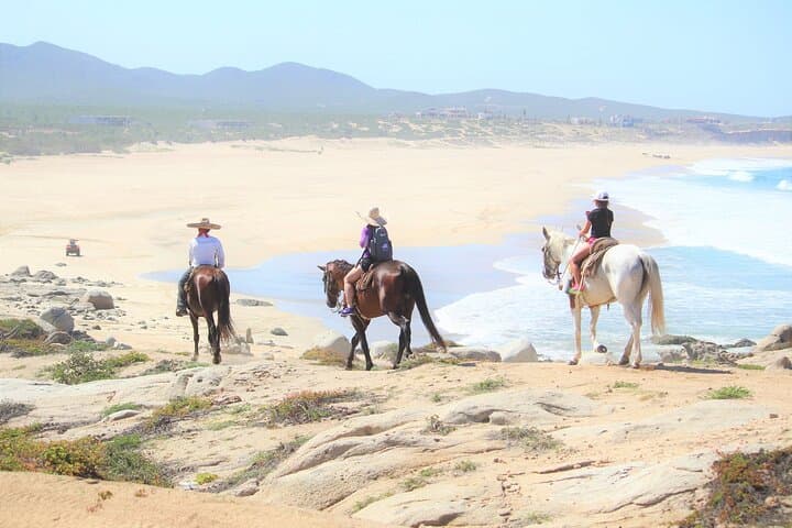 Los Cabos Combo Adventure: RZR, ATV or Horseback with Tequila Tasting photo 5