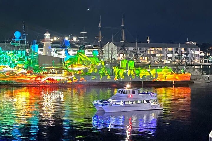 Vivid Sydney Harbour Catamaran Cruise — 90-Minute Intimate Lightshow with Canapés photo 1