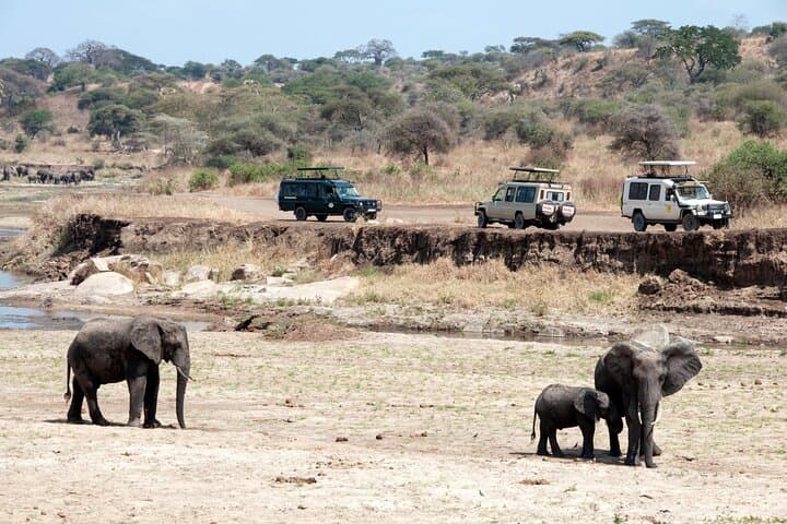 7-Day Tanzania Camping Safari Northern Circuit Wildlife & Camping photo 3