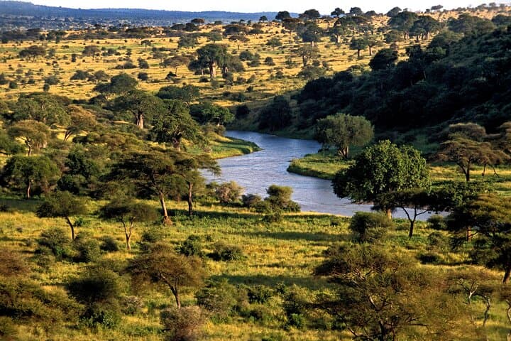 7-Day Tanzania Camping Safari Northern Circuit Wildlife & Camping photo 4