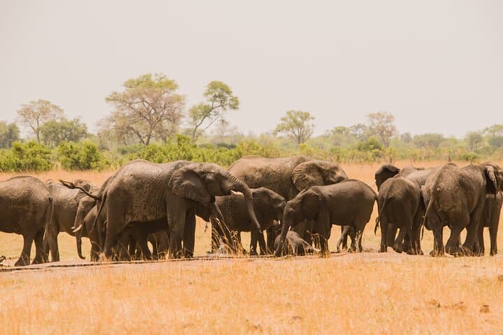 7-Day Tanzania Camping Safari Northern Circuit Wildlife & Camping photo 1
