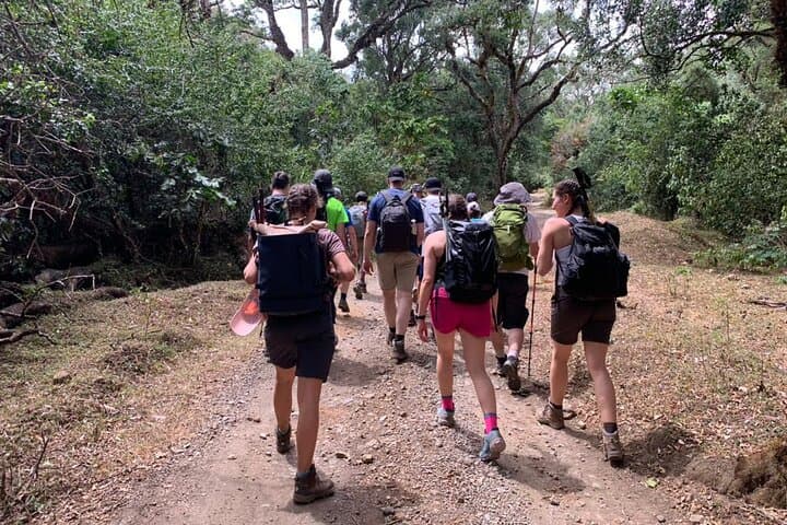 Mount Meru in Four Days: Summit Sunrise Trek from Arusha photo 3