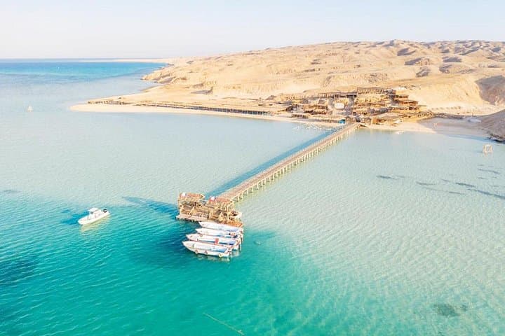 Hurghada Dolphin Watching Cruise: Snorkeling, Lunch & Red Sea Wildlife photo 4