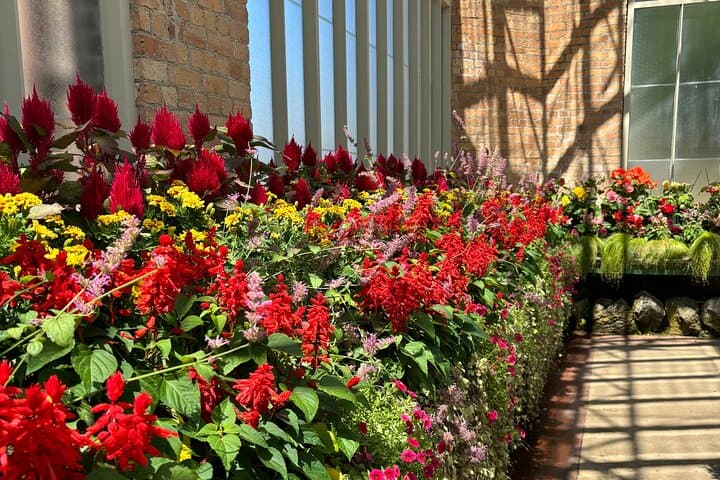 Private Half-Day: Auckland's Top 5 Sights — Westhaven to Mt Eden photo 3