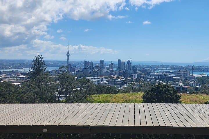 Private Half-Day: Auckland's Top 5 Sights — Westhaven to Mt Eden photo 4