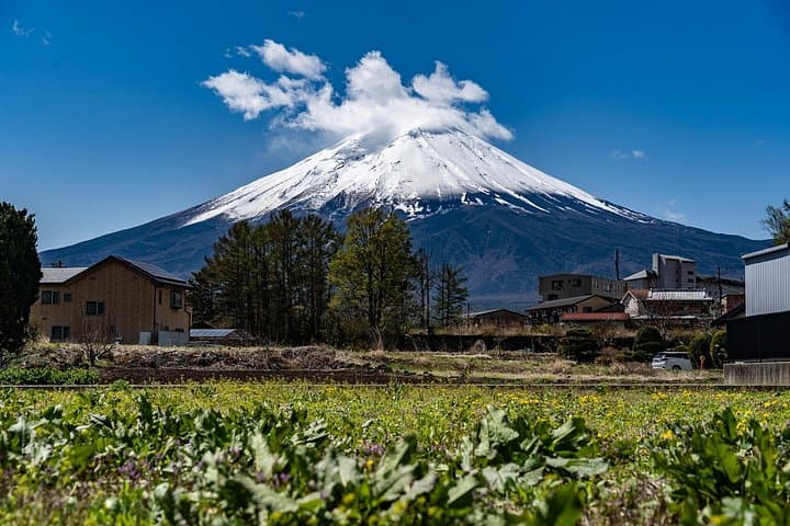 Hands-On Hoto Noodles and Mt. Fuji Views: Day Tour from Tokyo photo 1