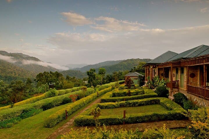 Kenya Safari and Bwindi Gorilla Tracking: 5-Day Wildlife Expedition photo 2