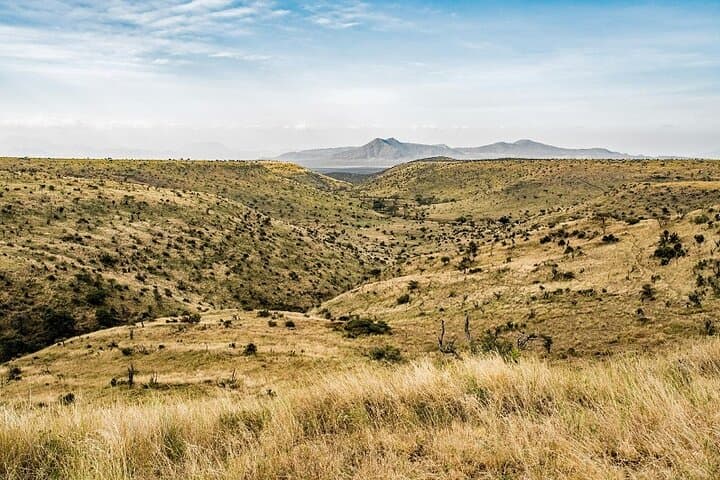 Kenya Safari and Bwindi Gorilla Tracking: 5-Day Wildlife Expedition photo 3