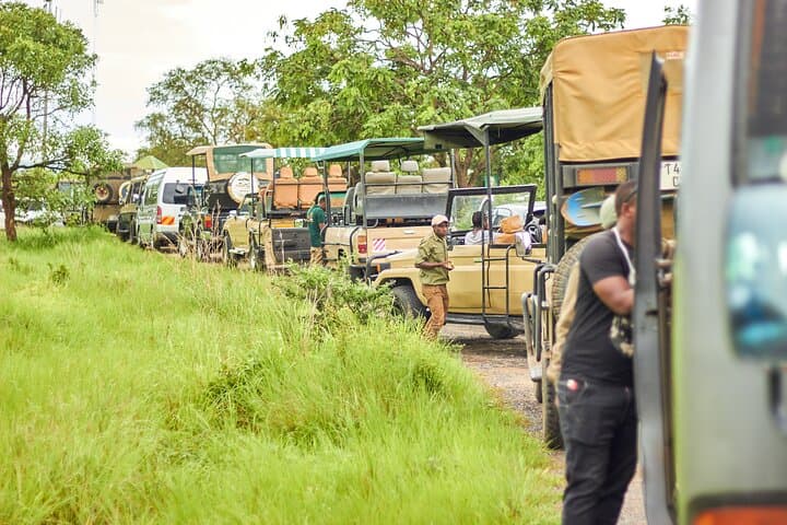2-Day Private Mikumi Safari: Lions, Elephants & Giraffe from Dar es Salaam photo 4