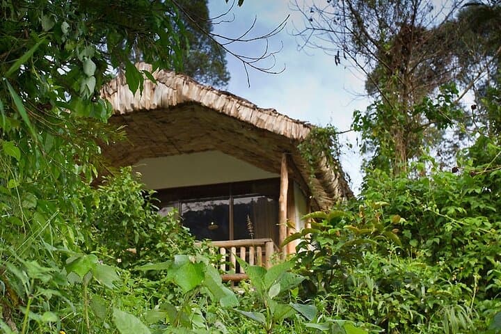 Kenya Safari and Bwindi Gorilla Tracking: 5-Day Wildlife Expedition photo 5