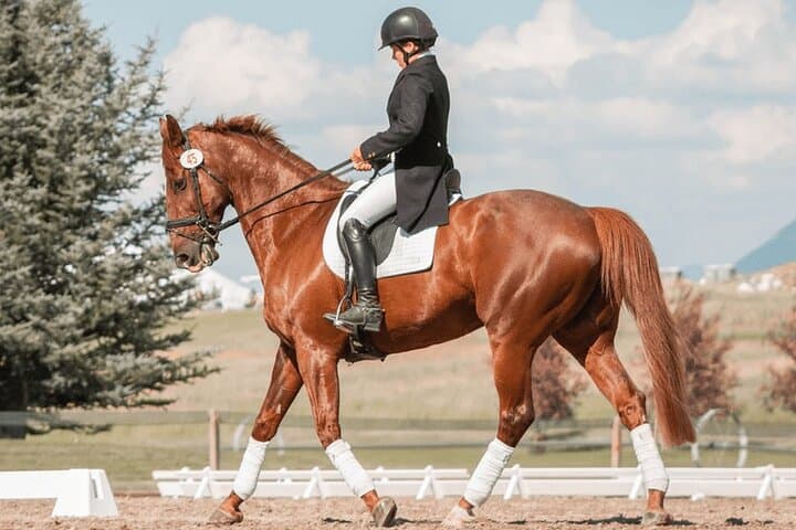 Private Horse Riding Tour near Lilo Mall — 1–2 Hour Guided Ride in Tbilisi