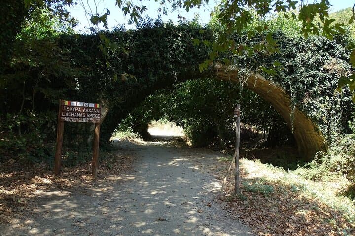 Richtis Gorge Private Hike: Waterfall, Ancient Olives & Selinari Monastery photo 6