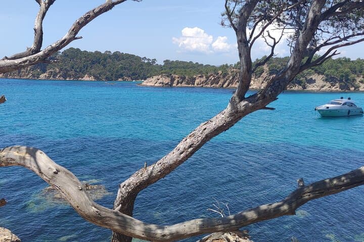 Private French Riviera Excursion: Tailored Car & Driver Sightseeing from Nice photo 3