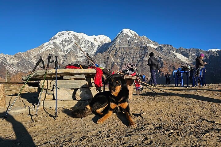 Mardi Himal Trek: Annapurna Views from Phedi to Base Camp photo 5