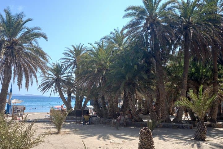 Private Full-Day Tour to Vai Palm Beach — Europe’s Largest Natural Palm Forest photo 3