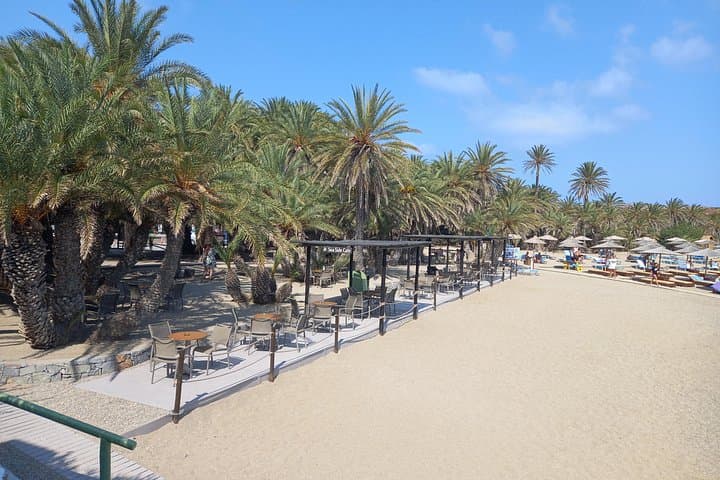 Private Full-Day Tour to Vai Palm Beach — Europe’s Largest Natural Palm Forest photo 2