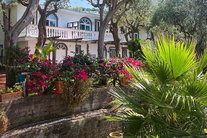Summer in Sorrento Deluxe: 8-Day Amalfi Coast, Capri & Cooking Experience photo 3