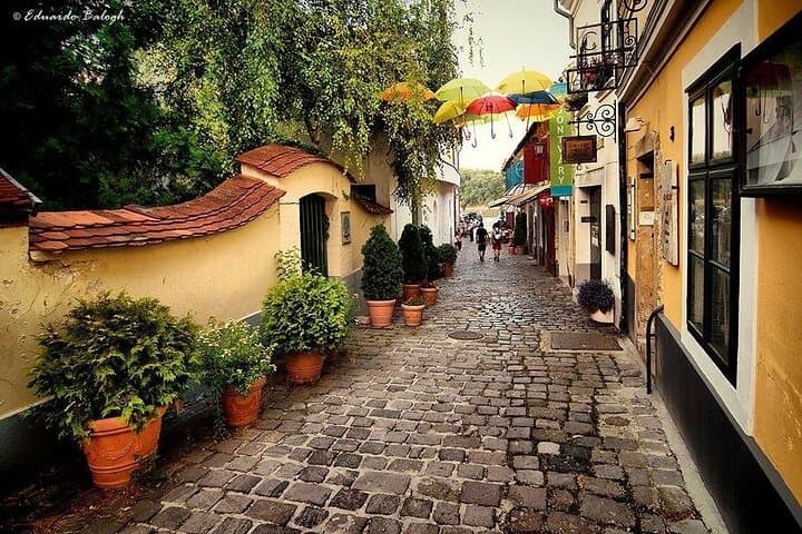 Private Wine Tasting and Cultural Walk in Szentendre from Budapest photo 5
