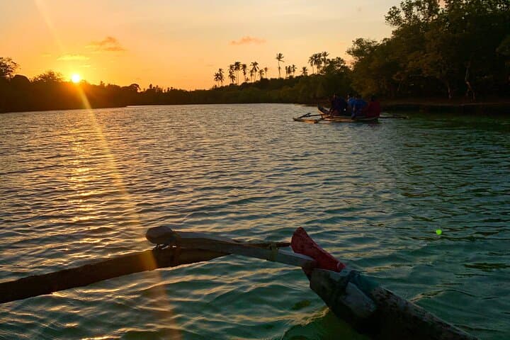 Sunset Mangrove Canoe Tour in Diani Beach — Guided Eco Canoe Experience photo 6