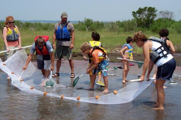 Paddle with Ponies: Guided Assateague Kayaking Wildlife Discovery photo 2