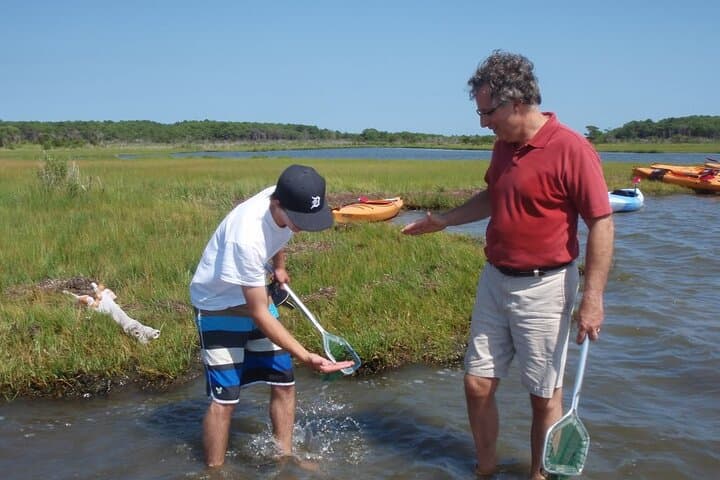 Paddle with Ponies: Guided Assateague Kayaking Wildlife Discovery photo 3