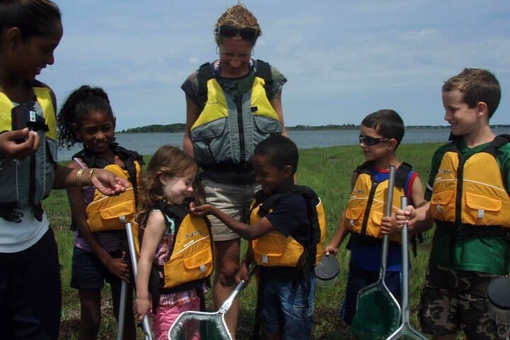 Paddle with Ponies: Guided Assateague Kayaking Wildlife Discovery photo 5