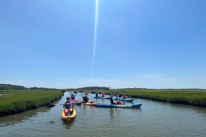 Paddle with Ponies: Guided Assateague Kayaking Wildlife Discovery photo 4