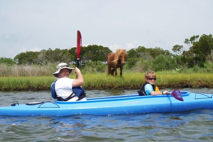 Paddle with Ponies: Guided Assateague Kayaking Wildlife Discovery photo 6