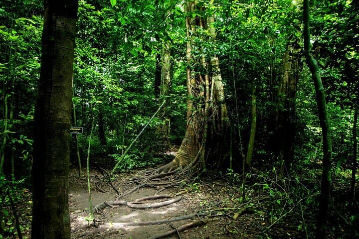 Tiger Cave Temple and Emerald Pool Day Tour from Krabi photo 3