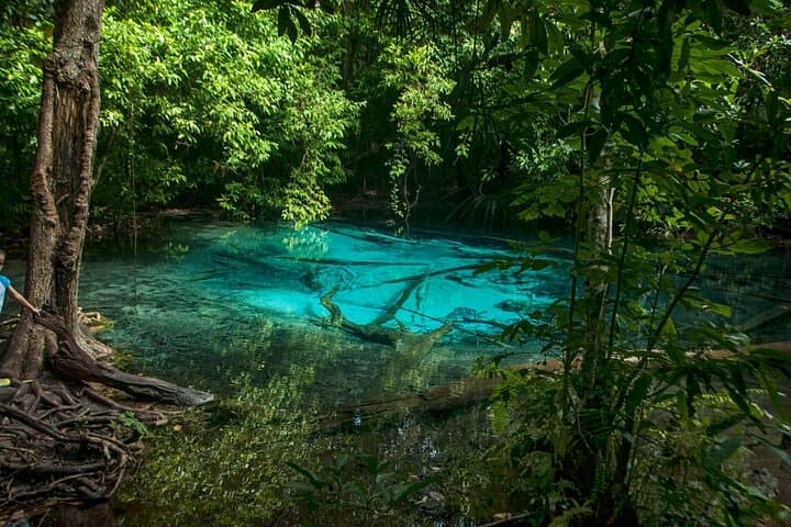Tiger Cave Temple and Emerald Pool Day Tour from Krabi