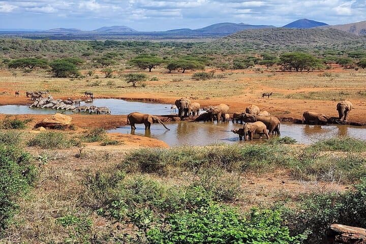5-Day Private Kenya Driving Safari: Nairobi to Mombasa via Amboseli & Tsavo photo 3
