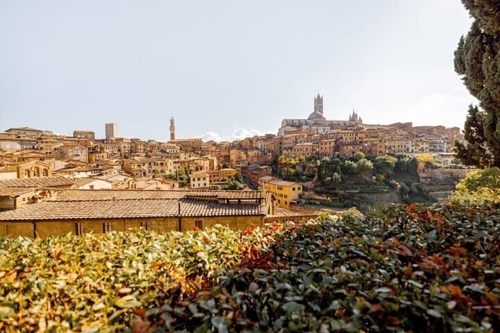 Siena Highlights Private Walking Tour: Cathedral, Palio & Medieval Streets photo 2