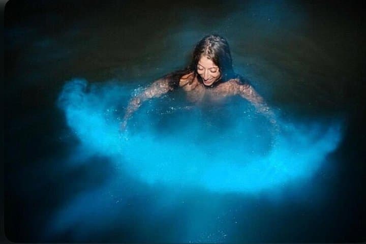 Glistening Waters: Luminous Lagoon Night Boat Tour from Montego Bay photo 2