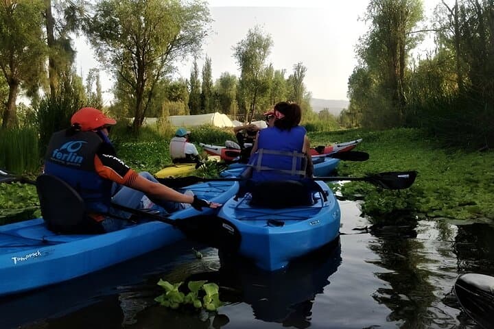 Xochimilco Trajinera & Chinampa Day Trip: Kayak, Cook, and See Axolotls photo 2