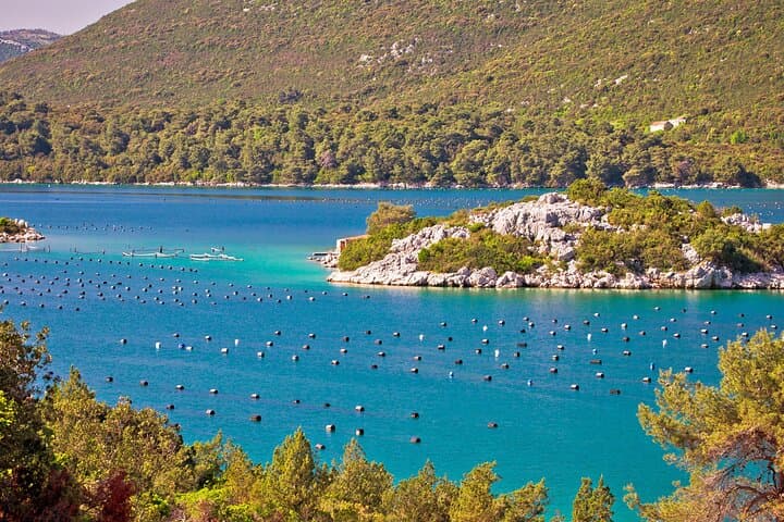 Split to Dubrovnik Private Transfer with Ston Walls and Oysters photo 2