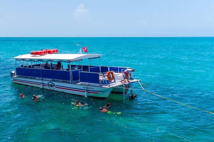 Key West Dolphin Watch and Snorkel Tour — Dolphin SMART Eco Adventure photo 4